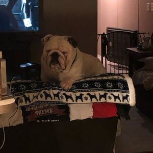 Meet your Posher, Helen